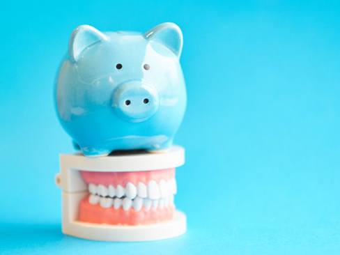 Blue piggy bank sitting on top of teeth model